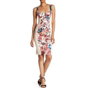 BLACK HALO Sz 8 Sadie Dress Happy Days Floral Print Blush NWT